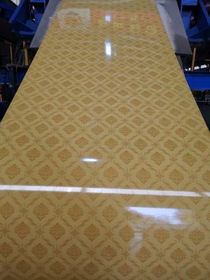 Aangepaste patroon gedrukte staalplaat roll ISO9001 certificering
