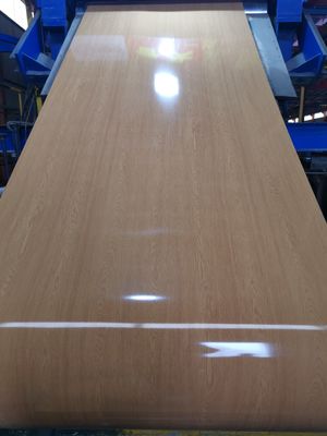 Aangepaste patroon gedrukte staalplaat roll ISO9001 certificering
